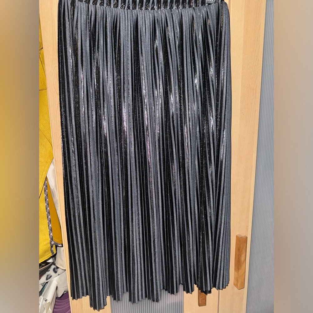 Zara Metallic Pleated Skirt